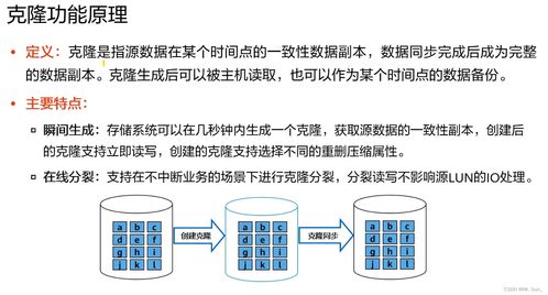 存儲數(shù)據(jù)保護技術(shù)與應(yīng)用 保障數(shù)據(jù)處理和存儲服務(wù)的安全基石